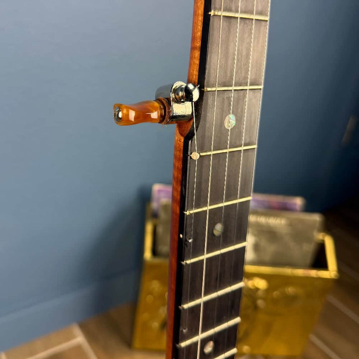 Starr Limited Edition 11" 5-String Openback Banjo Starr Banjos 5 String Banjos