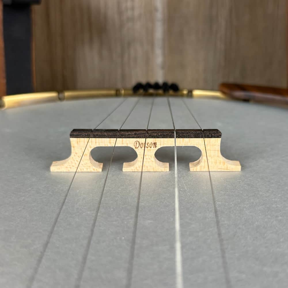 Starr Limited Edition 11" 5-String Openback Banjo Starr Banjos 5 String Banjos