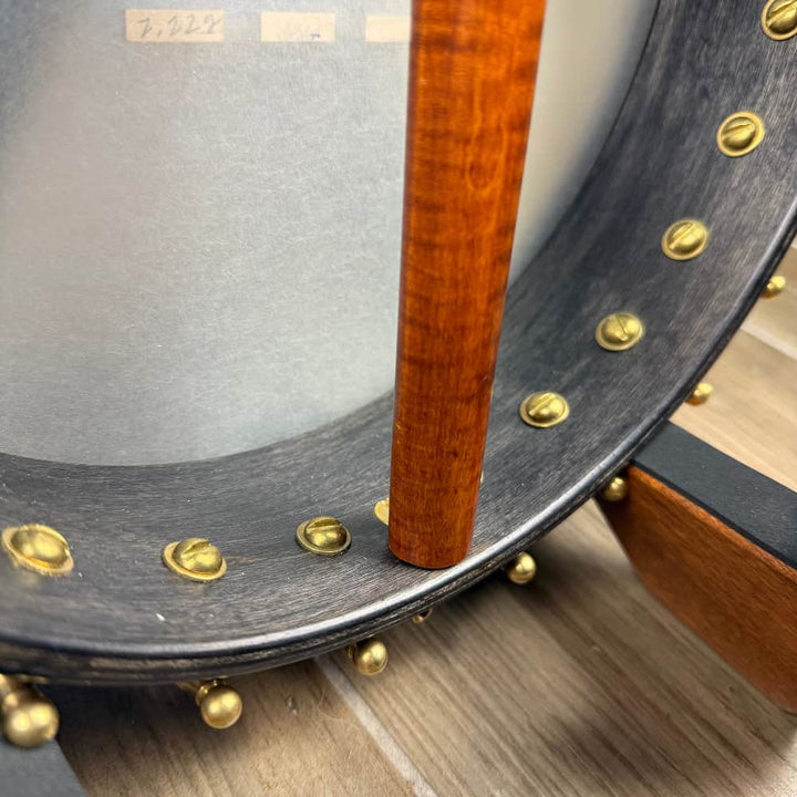 Starr Limited Edition 11" 5-String Openback Banjo Starr Banjos 5 String Banjos