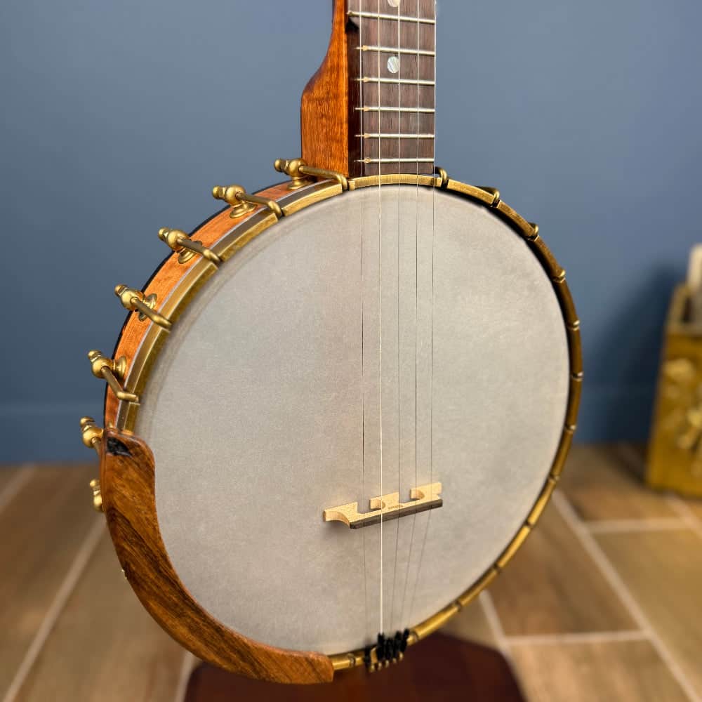 Starr Limited Edition 11" 5-String Openback Banjo Starr Banjos 5 String Banjos