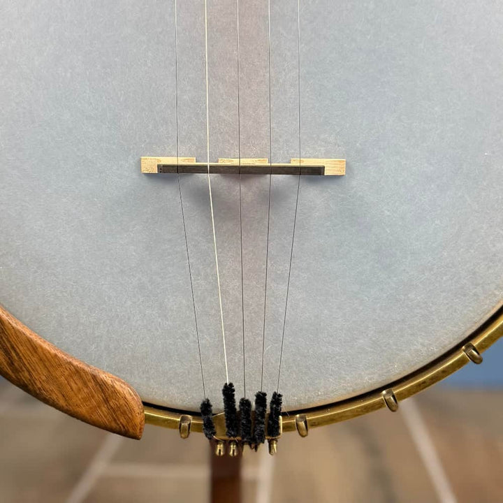 Starr Limited Edition 11" 5-String Openback Banjo Starr Banjos 5 String Banjos