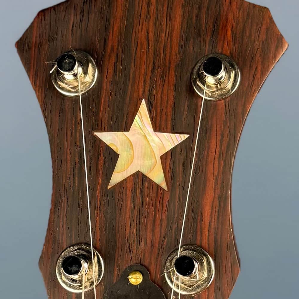 Starr Limited Edition 11" 5-String Openback Banjo Starr Banjos 5 String Banjos