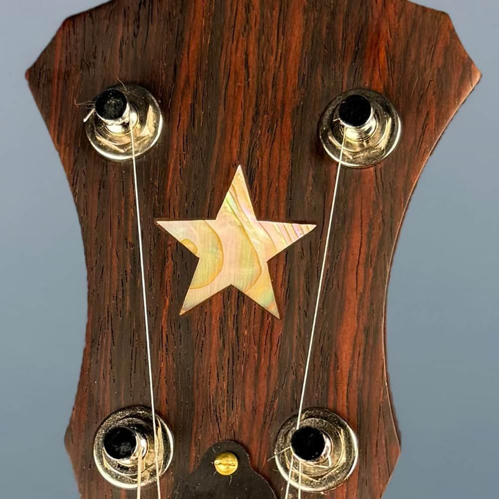 Starr Limited Edition 11" 5-String Openback Banjo Starr Banjos 5 String Banjos