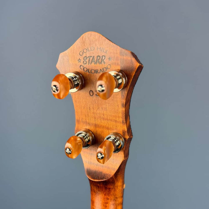 Starr Limited Edition 11" 5-String Openback Banjo Starr Banjos 5 String Banjos
