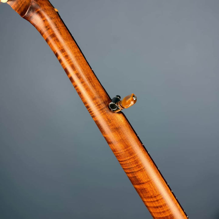 Starr Limited Edition 11" 5-String Openback Banjo Starr Banjos 5 String Banjos