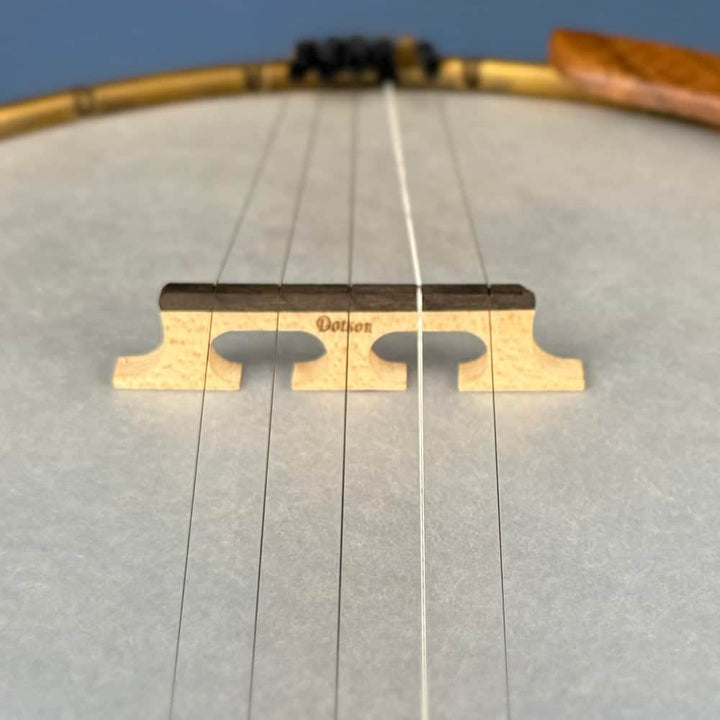 Starr Limited Edition 11" 5-String Openback Banjo Starr Banjos 5 String Banjos