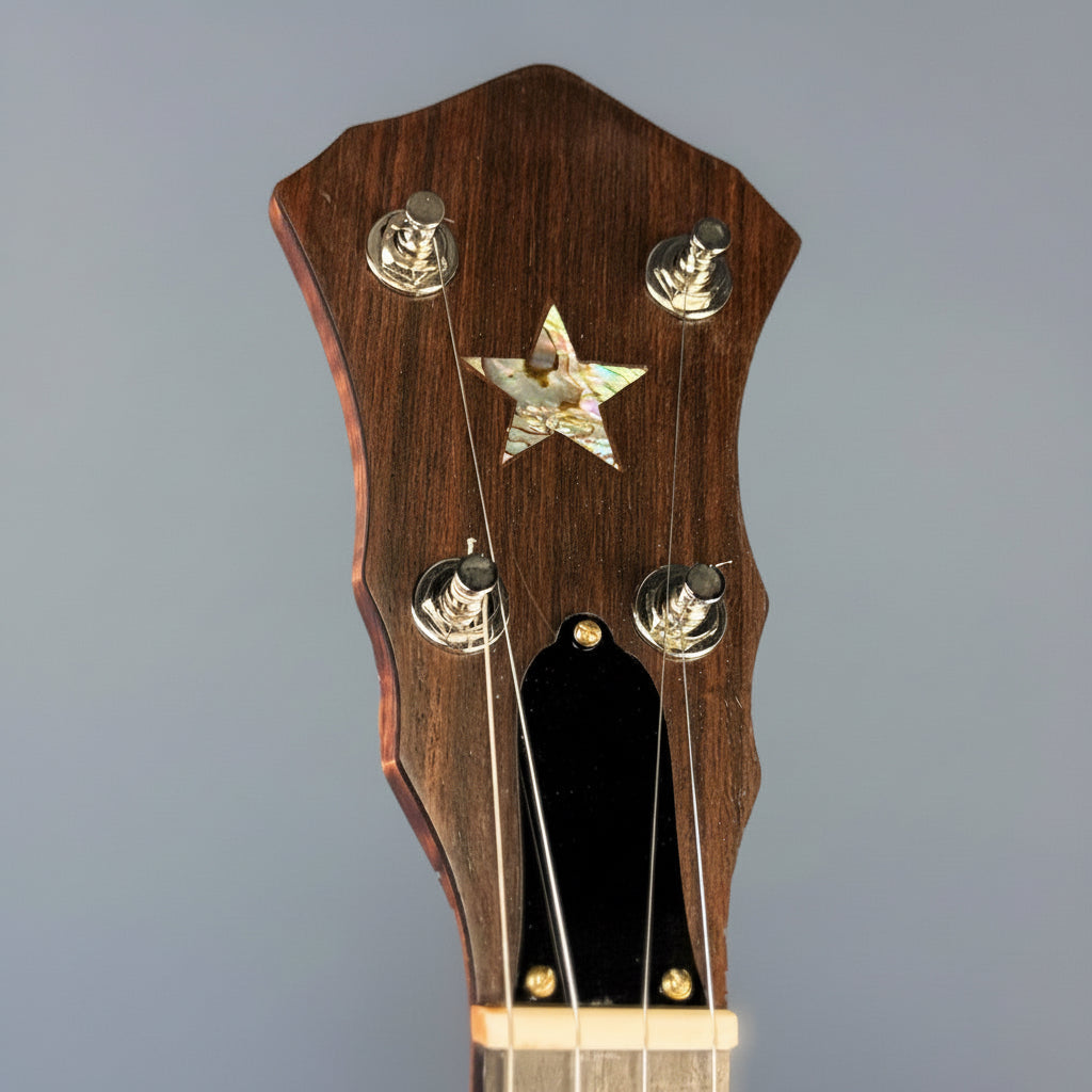 Starr Limited Edition 11" Tubaphone Tone Ring 5-String Openback Banjo Starr Banjos 5 String Banjos