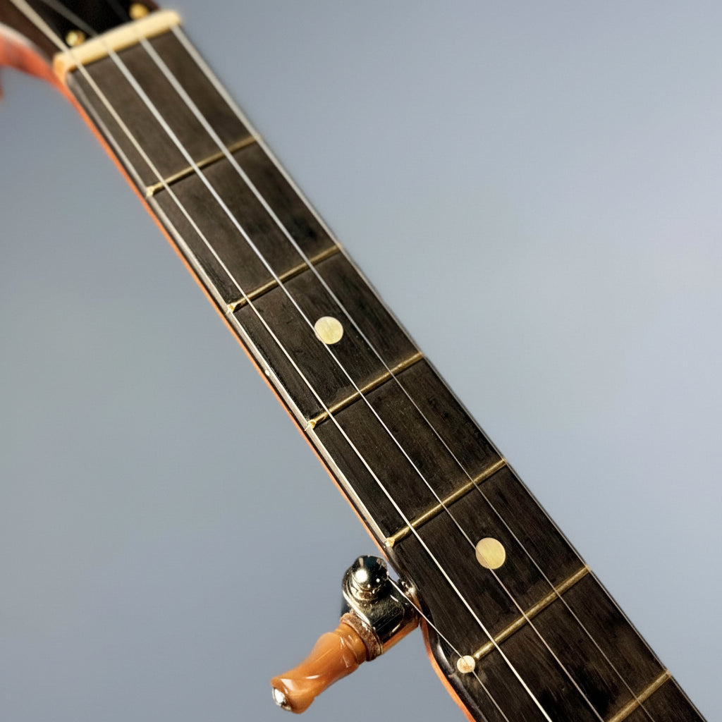 Starr Limited Edition 11" Tubaphone Tone Ring 5-String Openback Banjo Starr Banjos 5 String Banjos