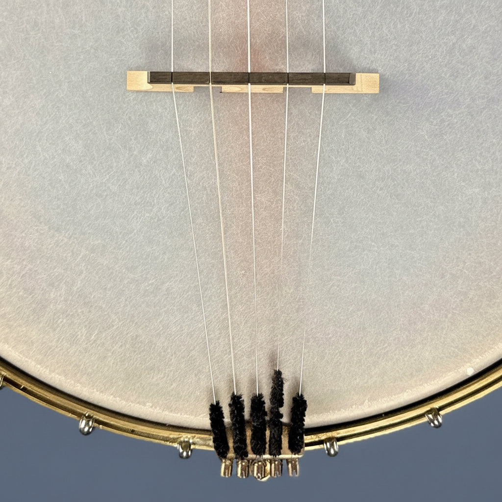 Starr Limited Edition 11" Tubaphone Tone Ring 5-String Openback Banjo Starr Banjos 5 String Banjos