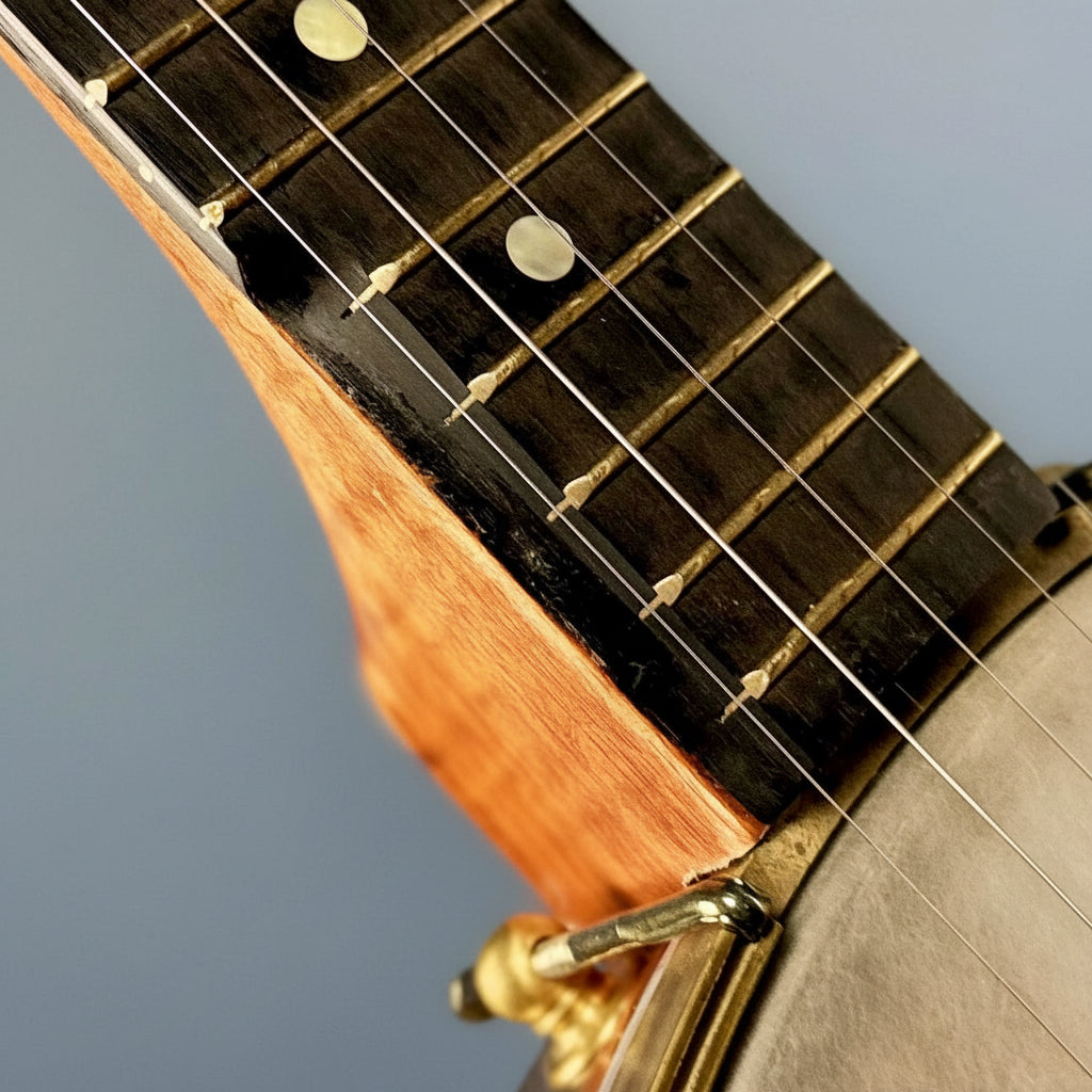 Starr Limited Edition 11" Tubaphone Tone Ring 5-String Openback Banjo Starr Banjos 5 String Banjos