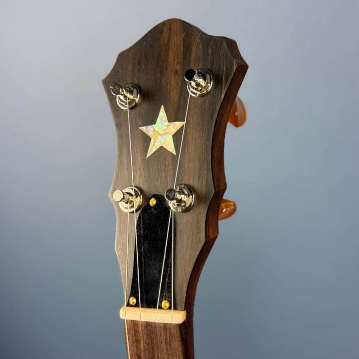 Starr Limited Edition 11" Walnut 5-String Openback Banjo Starr Banjos 5 String Banjos