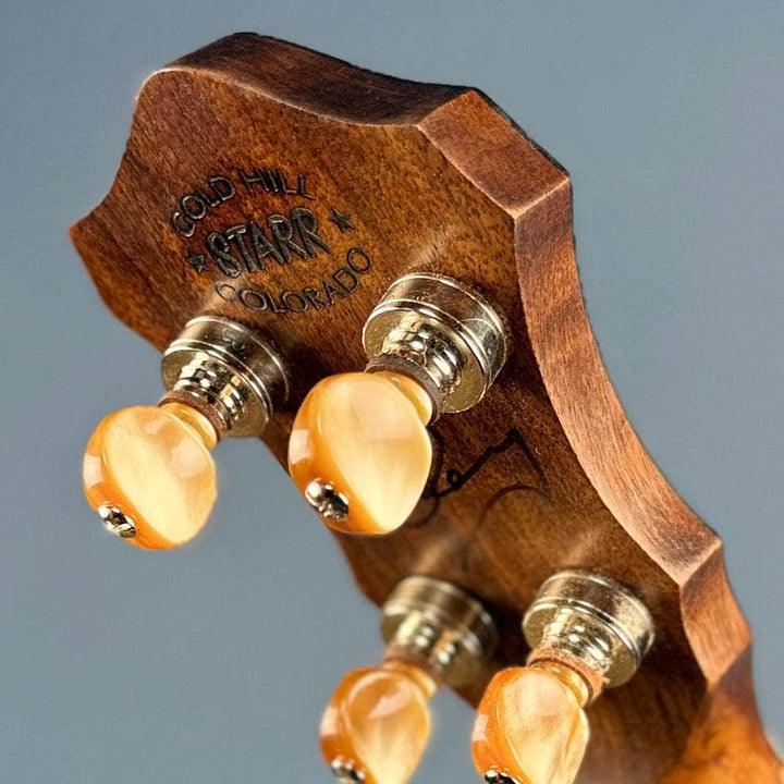 Starr Limited Edition 11" Walnut 5-String Openback Banjo Starr Banjos 5 String Openback Banjo