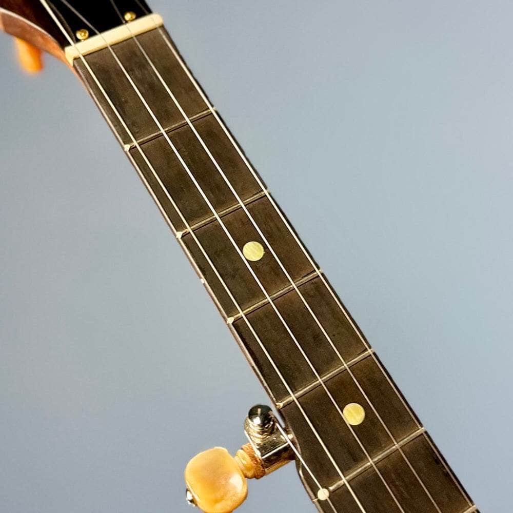 Starr Limited Edition 11" Walnut 5-String Openback Banjo Starr Banjos 5 String Openback Banjo