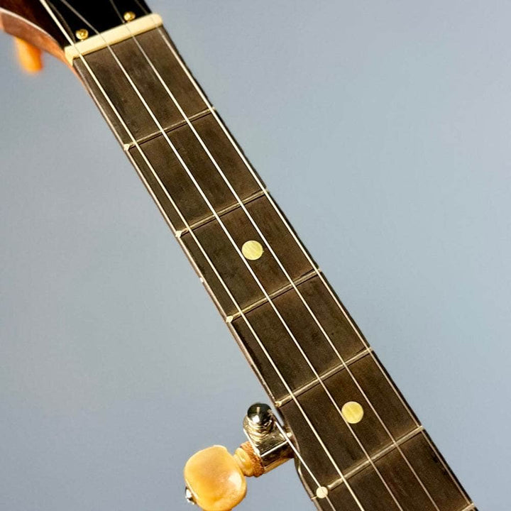 Starr Limited Edition 11" Walnut 5-String Openback Banjo Starr Banjos 5 String Openback Banjo
