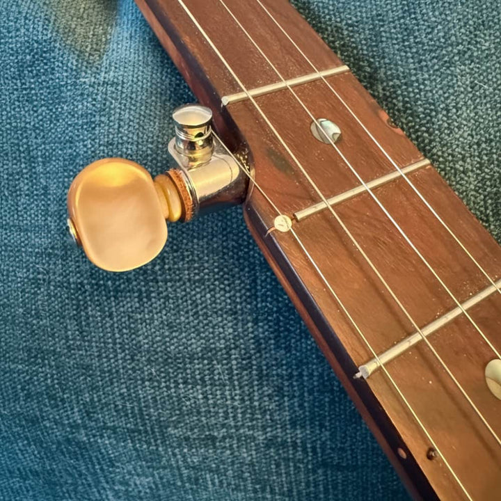 Starr Limited Edition 12" 5-String Openback Banjo Starr Banjos 5 String Banjos