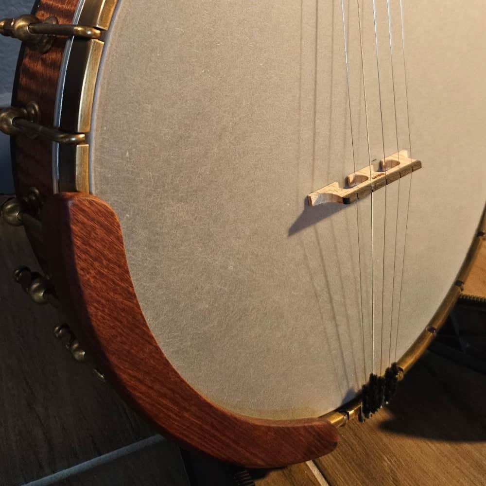 Starr Limited Edition 12" 5-String Openback Banjo Starr Banjos 5 String Banjos