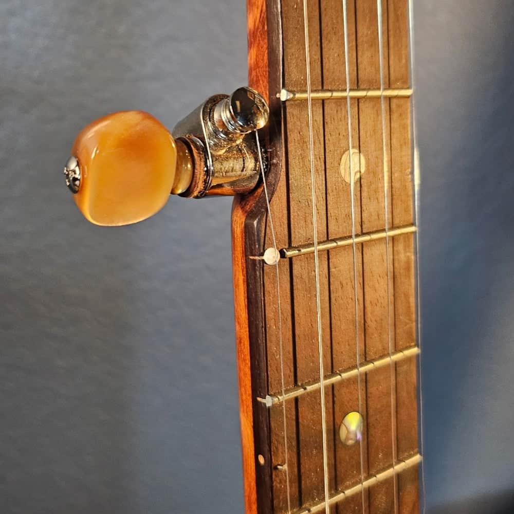 Starr Limited Edition 12" 5-String Openback Banjo Starr Banjos 5 String Banjos