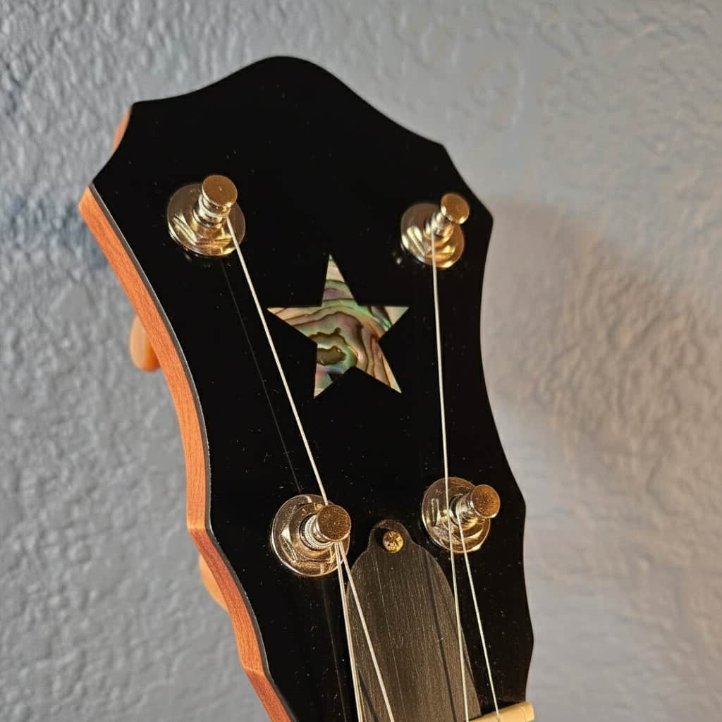 Starr Limited Edition 12" 5-String Openback Banjo Starr Banjos 5 String Banjos