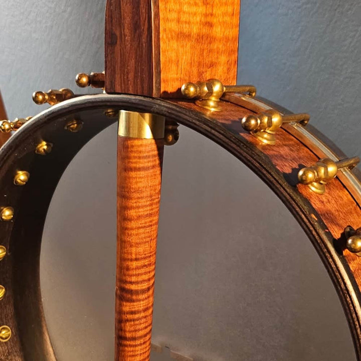 Starr Limited Edition 12" 5-String Openback Banjo Starr Banjos 5 String Banjos