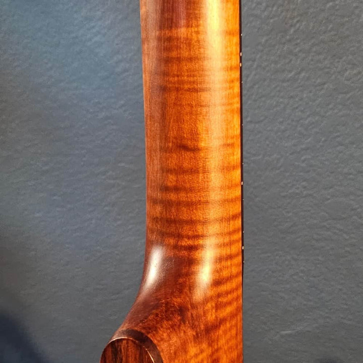 Starr Limited Edition 12" 5-String Openback Banjo Starr Banjos 5 String Banjos