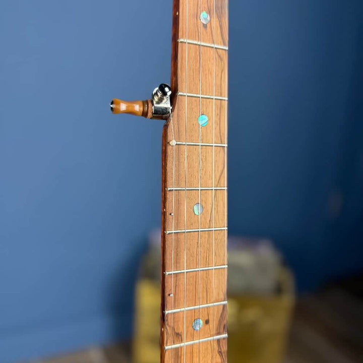 Starr Limited Edition 12" 5-String Openback Banjo Starr Banjos 5 String Banjos