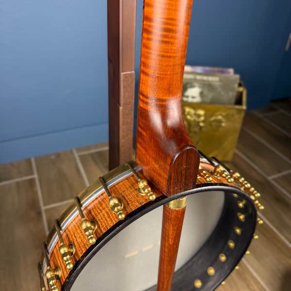 Starr Limited Edition 12" 5-String Openback Banjo Starr Banjos 5 String Banjos