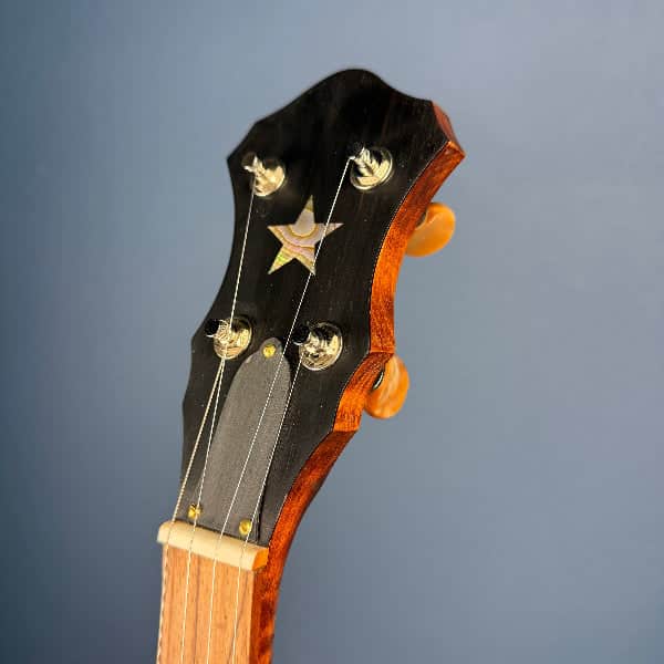 Starr Limited Edition 12" 5-String Openback Banjo Starr Banjos 5 String Banjos