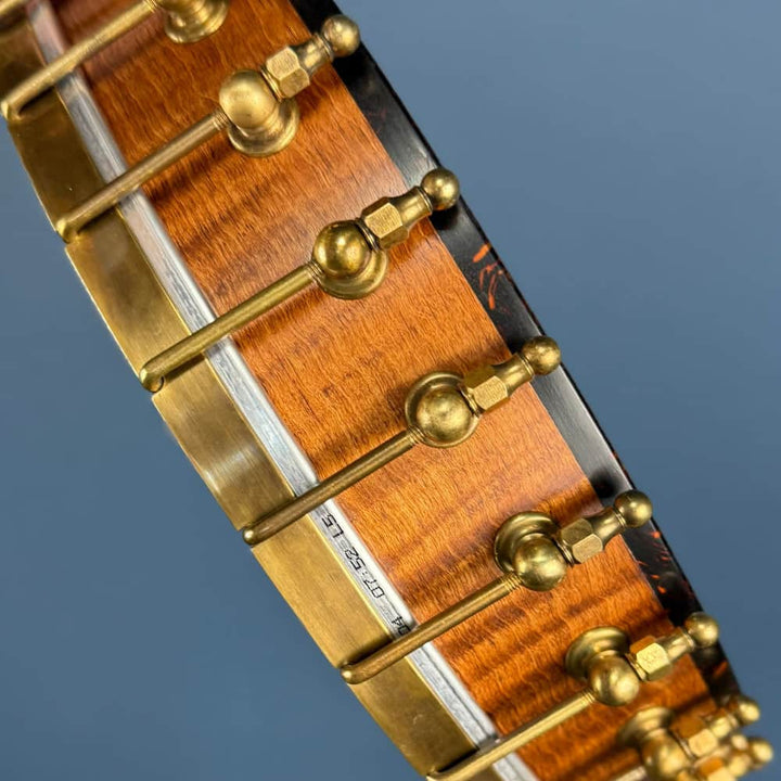 Starr Limited Edition 12" Maple 5-String Openback Banjo Starr Banjos 5 String Banjos