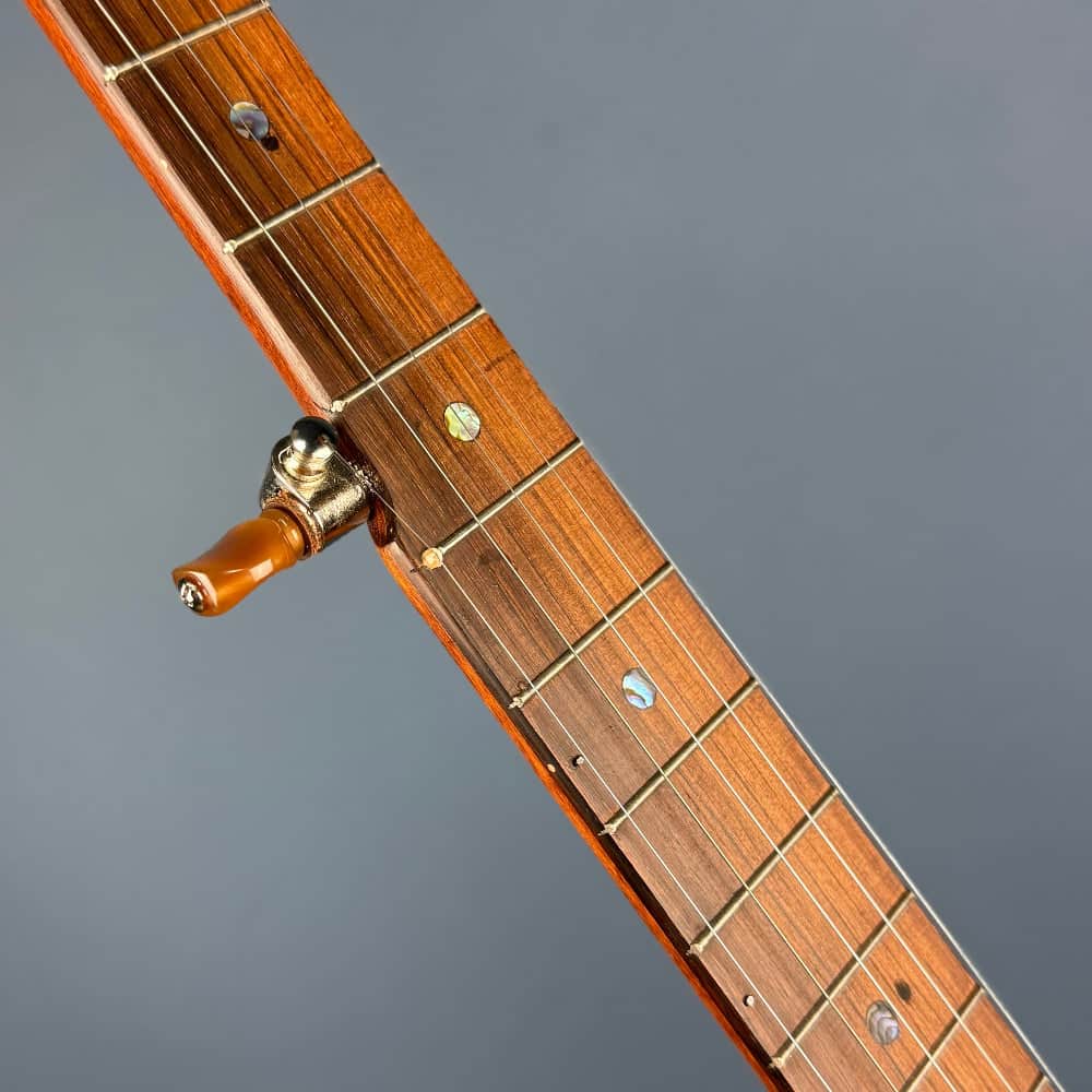 Starr Limited Edition 12" Maple 5-String Openback Banjo Starr Banjos 5 String Banjos