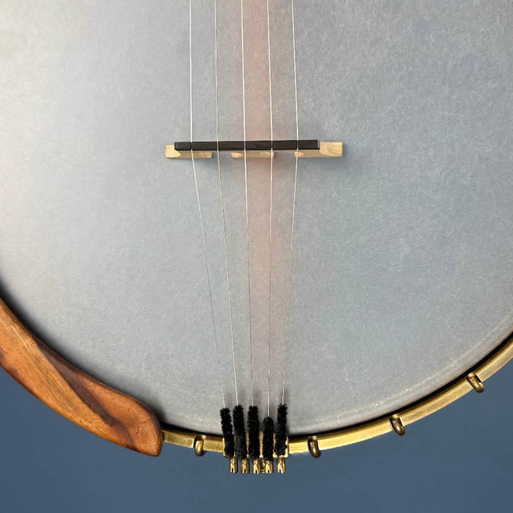 Starr Limited Edition 12" Maple 5-String Openback Banjo Starr Banjos 5 String Banjos