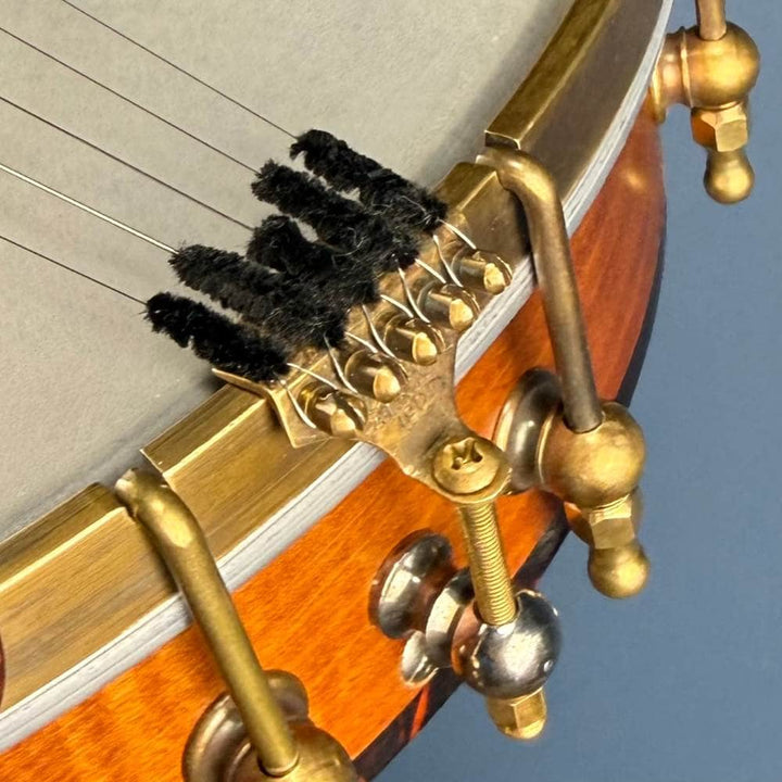 Starr Limited Edition 12" Maple 5-String Openback Banjo with 14 Brackets & Custom Peghead Starr Banjos 5 String Openback Banjo