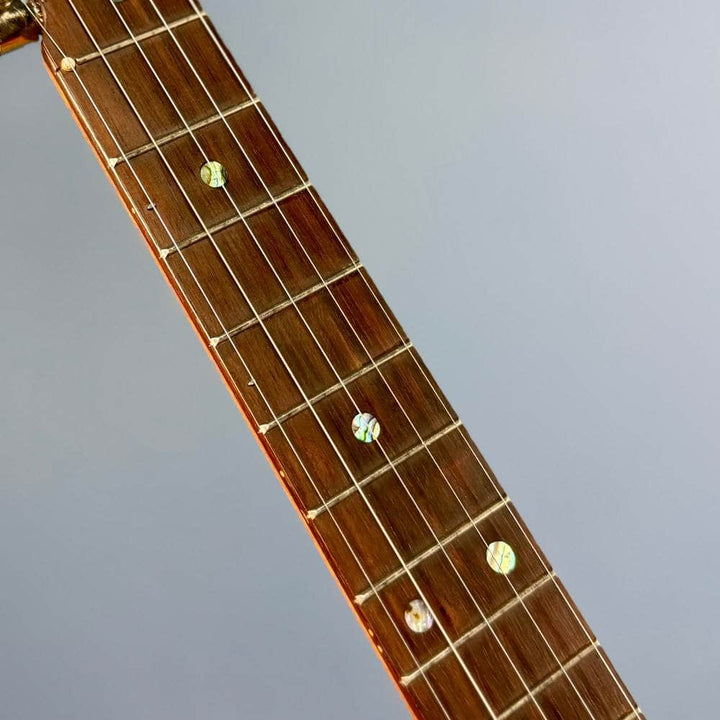 Starr Limited Edition 12" Maple 5-String Openback Banjo with 14 Brackets & Custom Peghead Starr Banjos 5 String Openback Banjo