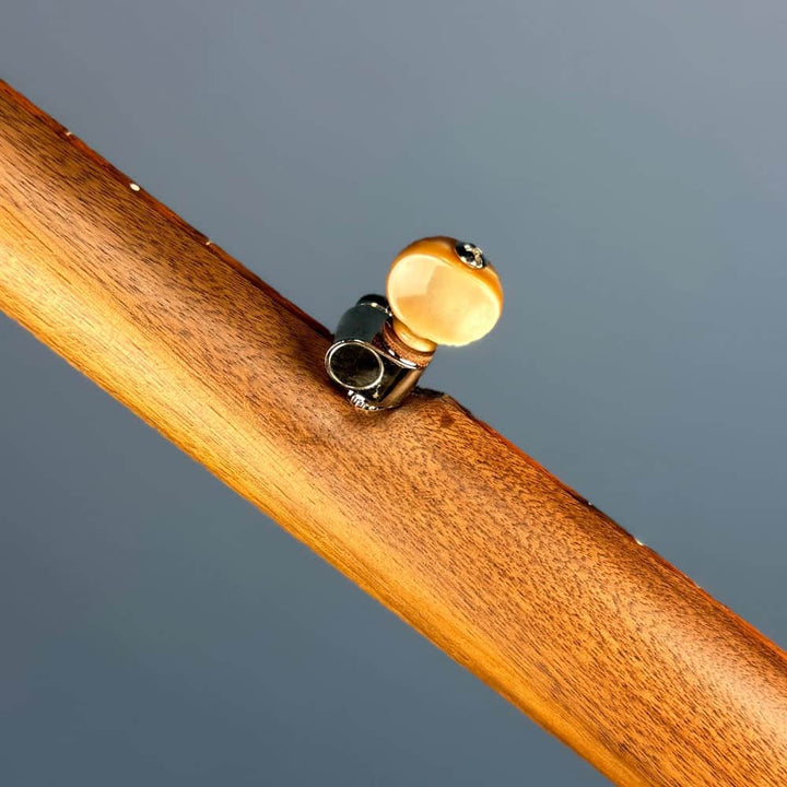 Starr Limited Edition 12" Walnut 5-String Openback Banjo Starr Banjos 5 String Banjos