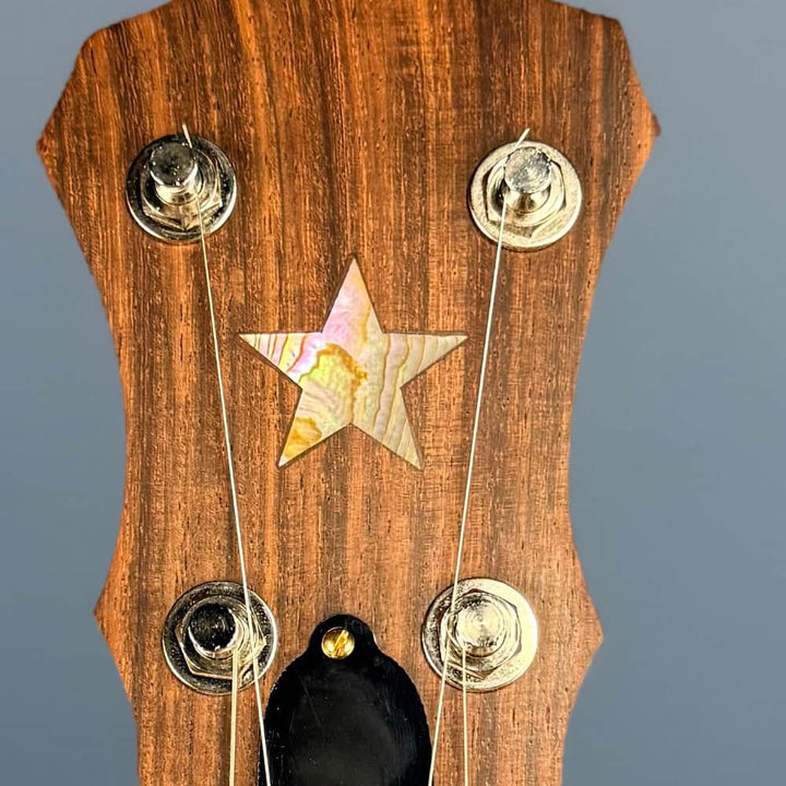Starr Limited Edition 12" Walnut 5-String Openback Banjo Starr Banjos 5 String Banjos