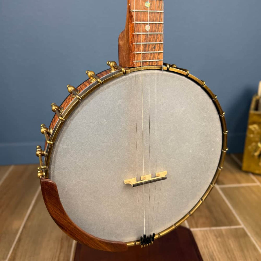 Starr Limited Edition 12" Walnut 5-String Openback Banjo Starr Banjos 5 String Banjos