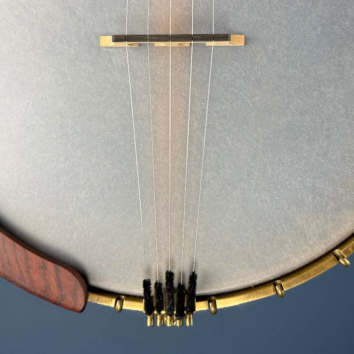Starr Limited Edition 12" Walnut 5-String Openback Banjo with Scoop Starr Banjos 5 String Openback Banjo