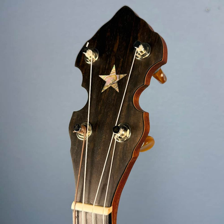 Starr Limited Edition 13" 5-String Fretless Openback Banjo Starr Banjos 5 String Banjos