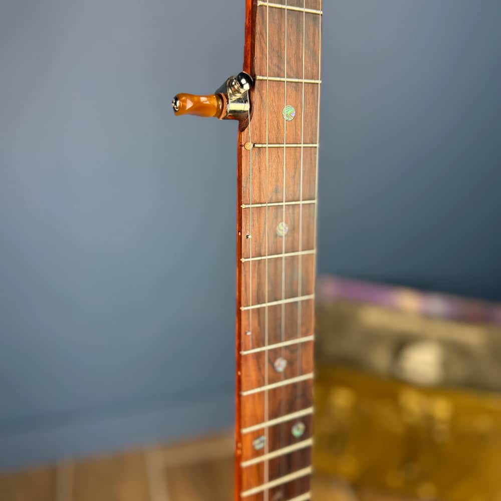 Starr Limited Edition 13" 5-String Openback Banjo Starr Banjos 5 String Banjos