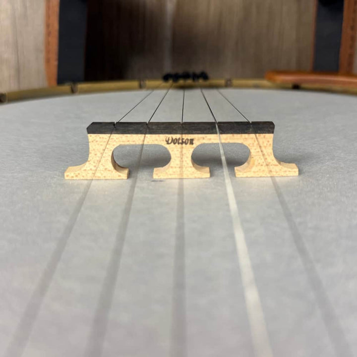 Starr Limited Edition 13" 5-String Openback Banjo Starr Banjos 5 String Banjos