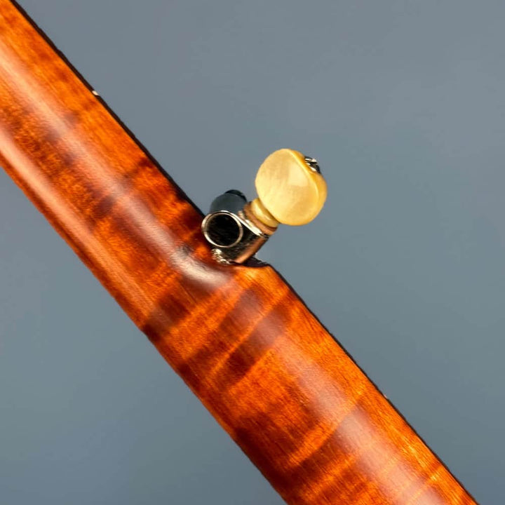 Starr Limited Edition 13" Maple 5-String Openback Banjo Starr Banjos 5 String Banjos