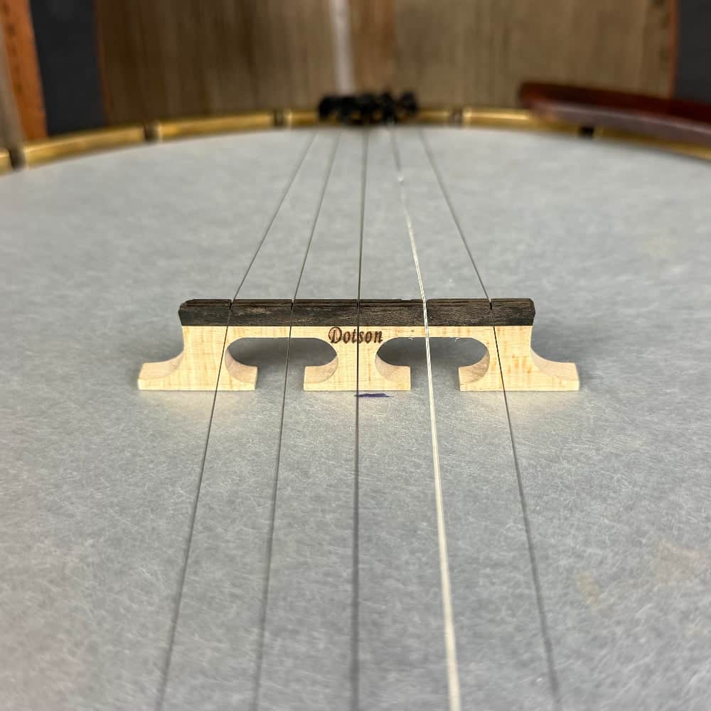 Starr Limited Edition Celtic 12" 5-String Openback Banjo Starr Banjos 5 String Banjos