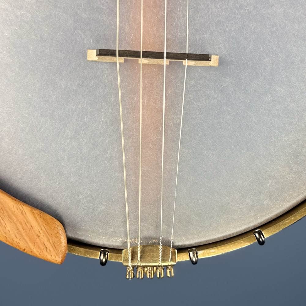 Starr Trek 11" 4-String 19-Fret Tenor Openback Banjo #442 Starr Banjos 4 String Openback Banjo