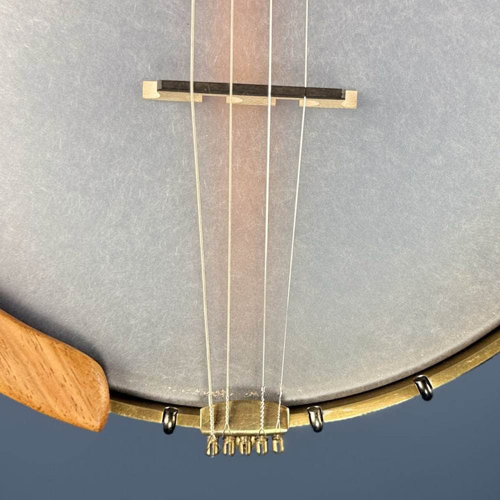 Starr Trek 11" 4-String 19-Fret Tenor Openback Banjo #442 Starr Banjos 4 String Openback Banjo
