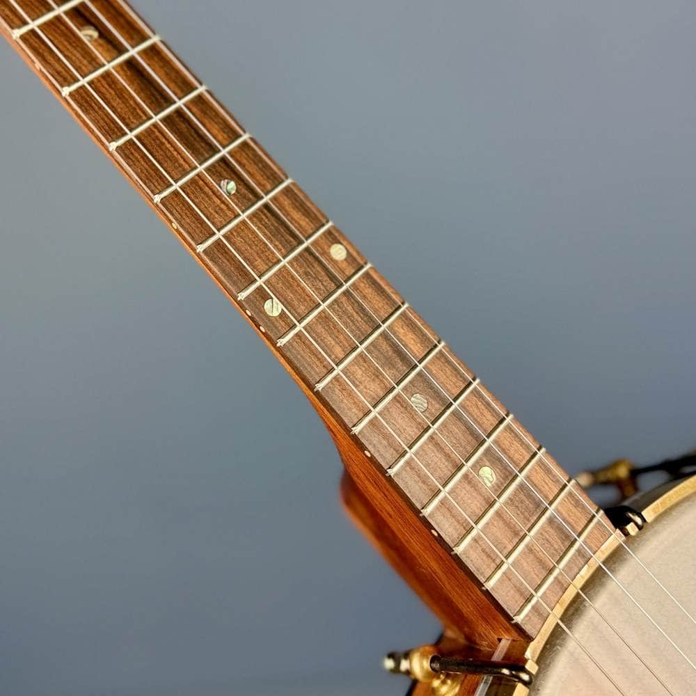 Starr Trek 11" 4-String 19-Fret Tenor Openback Banjo #442 Starr Banjos 4 String Openback Banjo