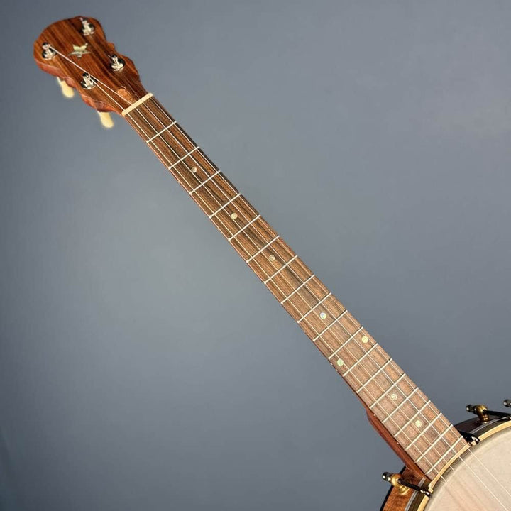 Starr Trek 11" 4-String 19-Fret Tenor Openback Banjo #442 Starr Banjos 4 String Openback Banjo