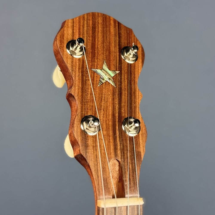 Starr Trek 11" 4-String 19-Fret Tenor Openback Banjo #442 Starr Banjos 4 String Openback Banjo