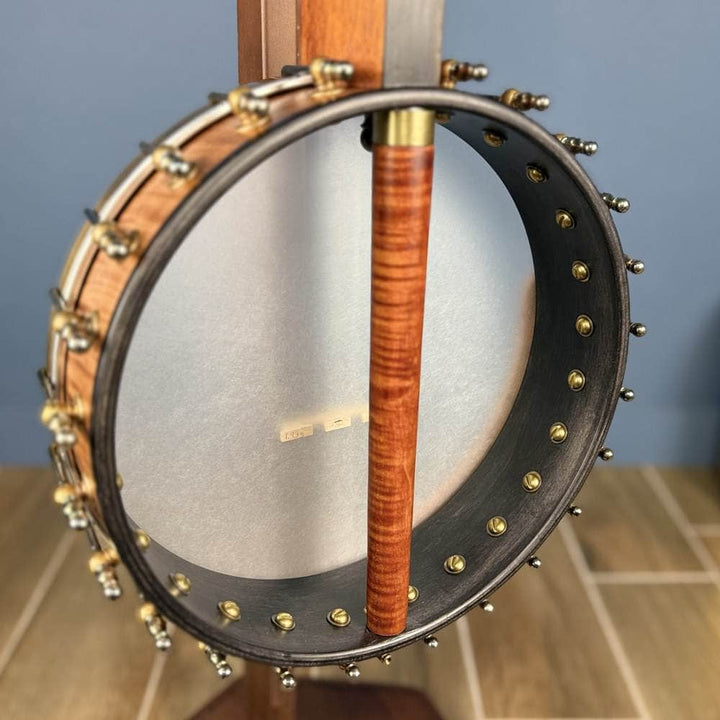 Starr Trek 11" 4-String 19-Fret Tenor Openback Banjo #442 Starr Banjos 4 String Openback Banjo