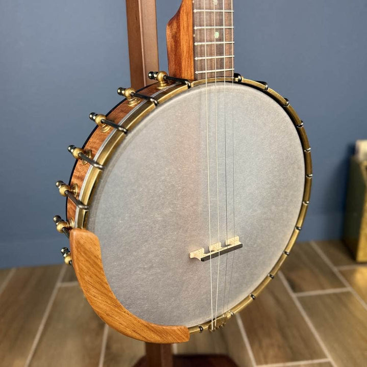 Starr Trek 11" 4-String 19-Fret Tenor Openback Banjo #442 Starr Banjos 4 String Openback Banjo