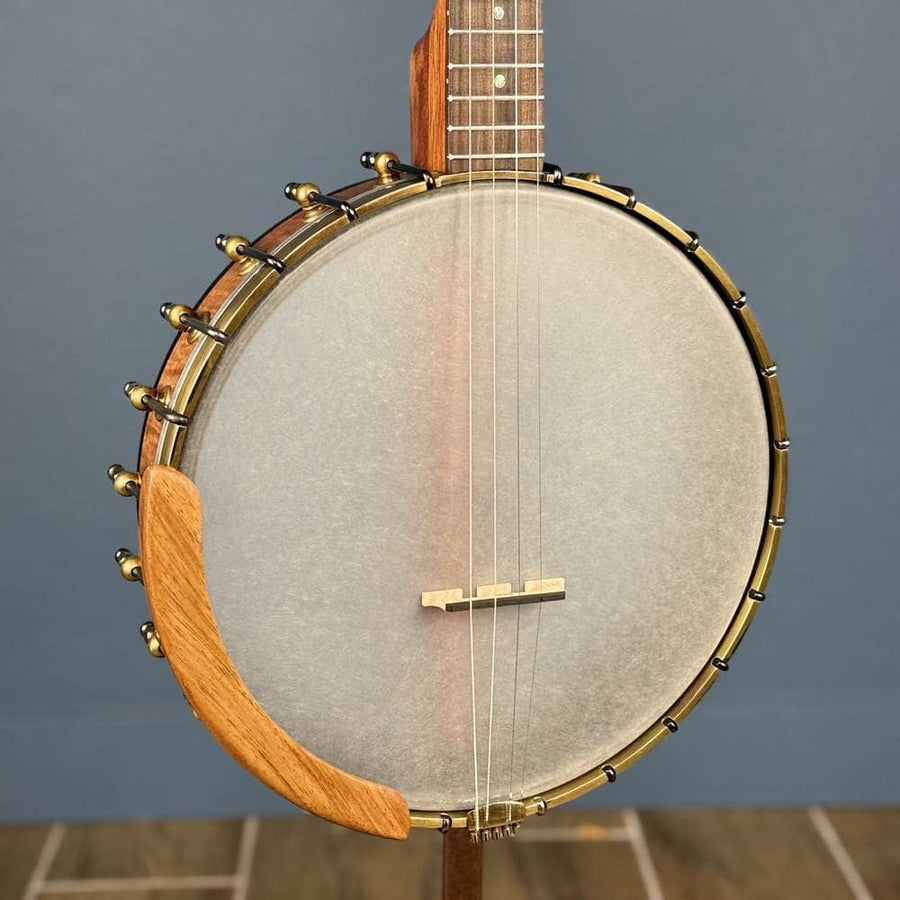 Starr Trek 11" 4-String 19-Fret Tenor Openback Banjo #442 Starr Banjos 4 String Openback Banjo