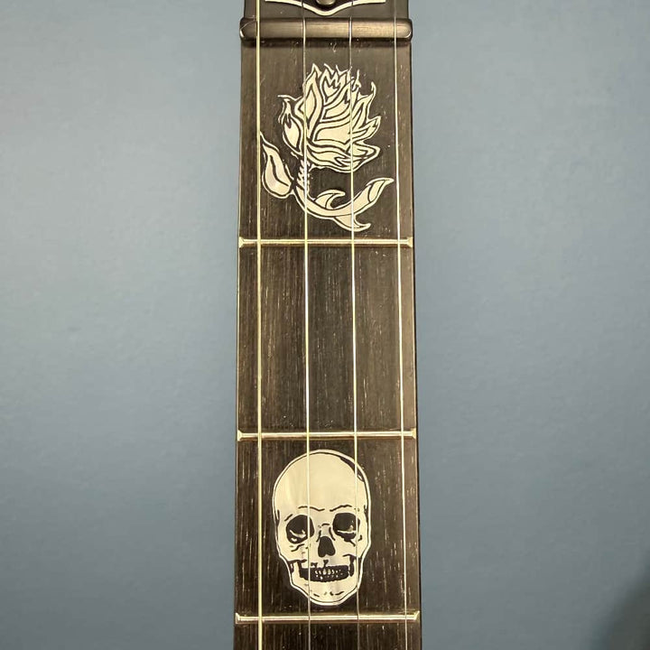 The Scott Avett "Truth" Signature Banjo Deering 5 String Banjos